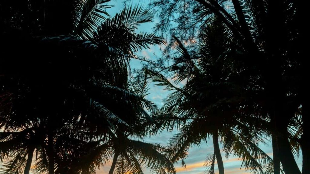 Indonesia Snapchat advertising 2025 Ghana rate card guide