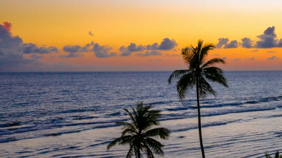 Advertisers wɔ Ghana: How OnlyFans ne Dominican Republic Brands gye Blog Feature Requests