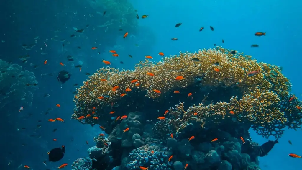 Adwuma a ɛkyerɛ Ghana advertisers sɛnea wɔbɛhwehwɛ Czech Republic Takatak creators de kɔma travel visibility — practical steps, tools, ne case insights.