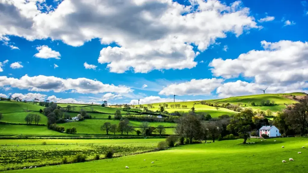 Nsɛmma nhyehyɛe kɔkɔɔ: wopɛ sɛ wotumi hwehwɛ Lebanon Spotify creators ama socially responsible campaigns? Yi akwan, tools, ne local insight a wobɛtumi de yɛ adwuma.