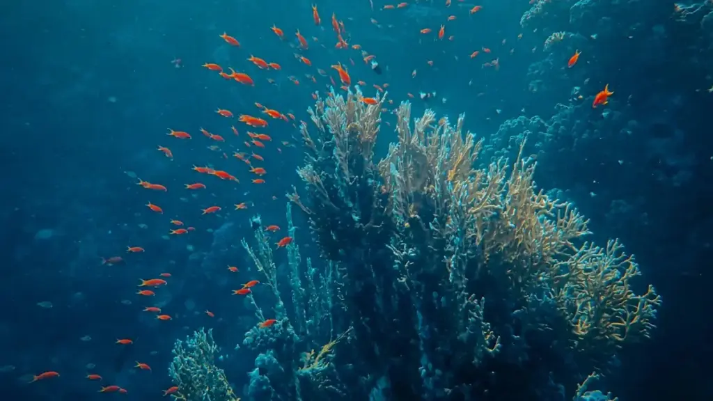 Kɔɔso kasa a yɛde kyerɛ creators wɔ Ghana—ɛkwan a wobɛfa so akɔ Qatar brands wɔ Threads, practical DM templates, timing, ne partnership playbook.