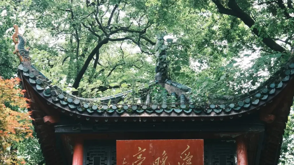 Ɛkwan a wode bɛhunu Algeria Chingari creators de launch limited-edition drops — paikyiɛ, outreach, negotiation, na logistics ma Ghana advertisers.