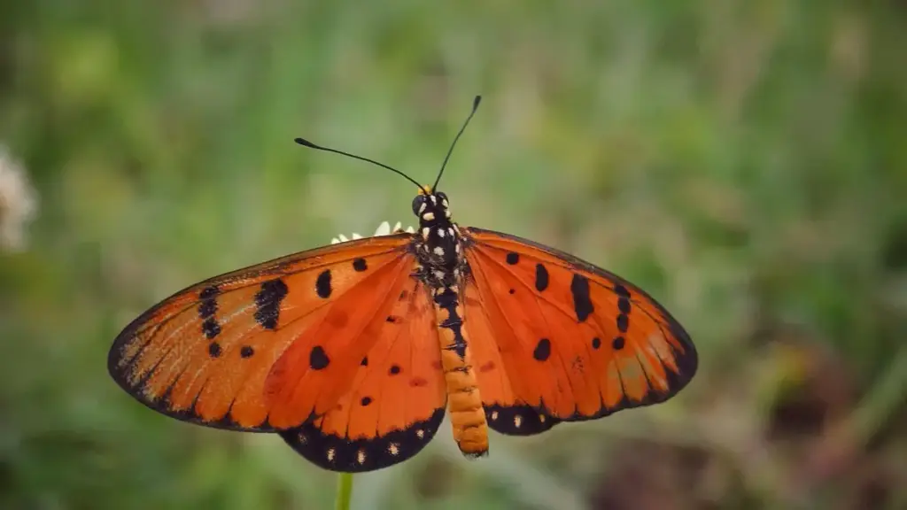 Nkwasin a ɛma Ghana creators tumi hyɛ Morocco brands ho nkɔmmɔ wɔ Takatak, fa localized content yɛ market-targeted—practical steps, contact templates, na MaTitie VPN tip.