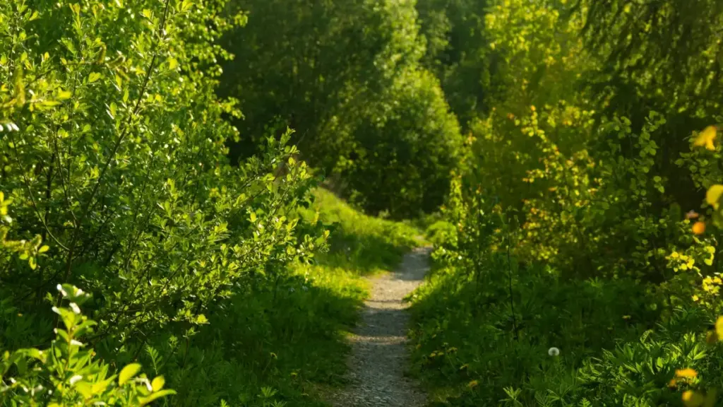 Hwɛ kwan a wubetumi agye Ecuador Viber creators de asakra niche audiences — tactics, platform map, na VPN adwuma.