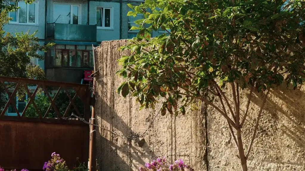 Hwɛ kwan a Ghana advertiser betumi afa pɛ Costa Rica Instagram creators de launch creator-led fitness challenges — practical steps, local insights, na tools a wopɛ.