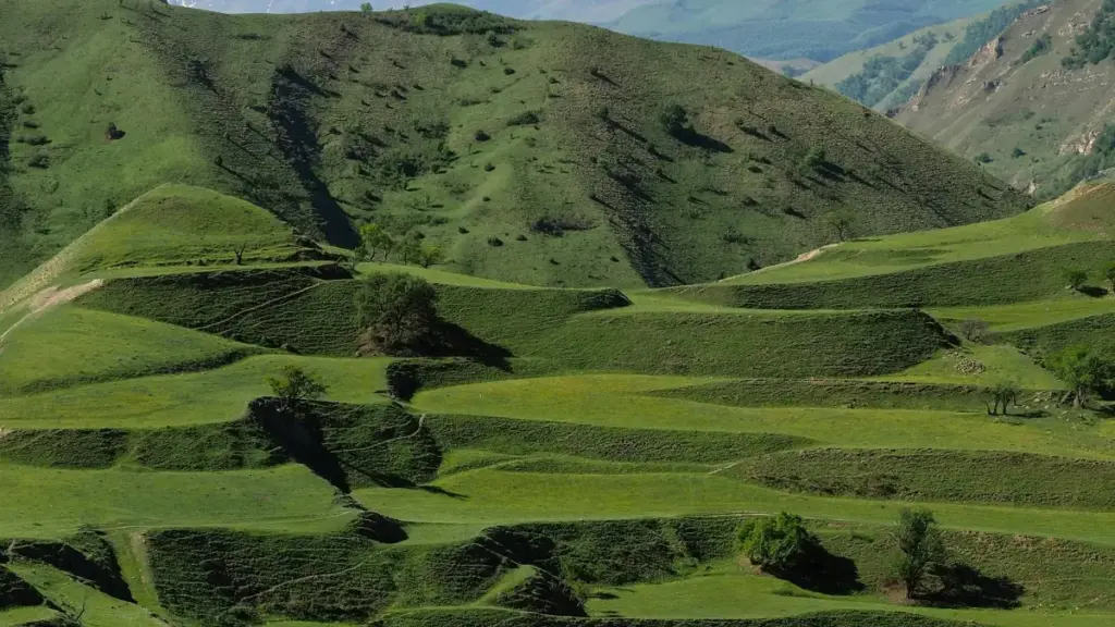 Nhyehyɛe a ɛkyerɛ Ghana advertisers sɛnea wobetumi ahunu Dominican Republic HBO Max content creators na wotumi de viral video yɛ kampɛn a ɛma engagement ne reach kɔ soro.