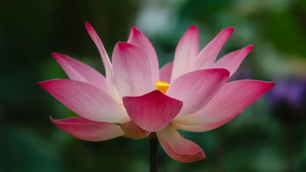 Mpanyinfoɔ a wɔwɔ Ghana — akwan prɛko a wode bɛkontaktɛ Thailand Etsy brands na moteɛ giveaway collaboration a ɛyɛ authentic na profitable.