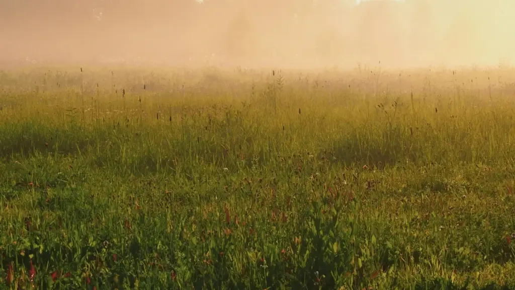 Kɔfa practical akwankyerɛ ma Ghana creators a wɔpɛ sɛ wɔka Lebanon brands a wɔwɔ Taobao ho na wɔyɛ GRWM videos. Tips, tools, ne partnerships a wode betumi apɔw deals.