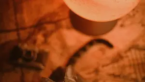 Nkwasia papa ma Ghana advertisers — nhyehyɛe praktikal a wobɛfa so ahu Malaysia Amazon creators de product seeding kɔ beauty bloggers nkyɛn. Local tactics, platform hooks, ne ROI tips.