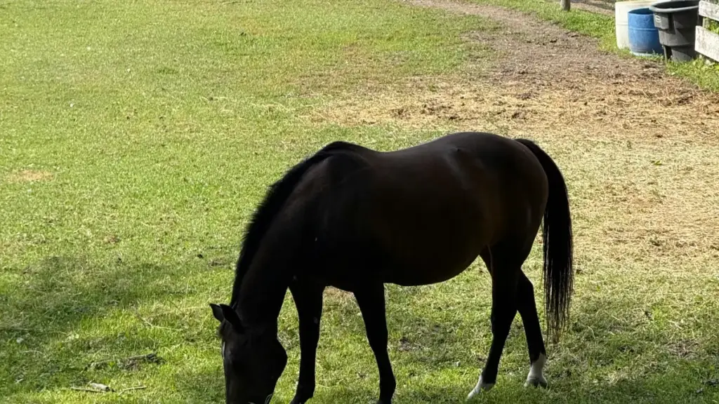 Nkwa nsɛm ne nkwankyerɛ ma Ghana advertisers a pɛ sɛ wɔhwehwɛ Vietnam Zalo creators deyɛ product concept tests—practical steps, risk controls, sourcing channels, ne onboarding tips.