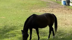 Nkwa nsɛm ne nkwankyerɛ ma Ghana advertisers a pɛ sɛ wɔhwehwɛ Vietnam Zalo creators deyɛ product concept tests—practical steps, risk controls, sourcing channels, ne onboarding tips.