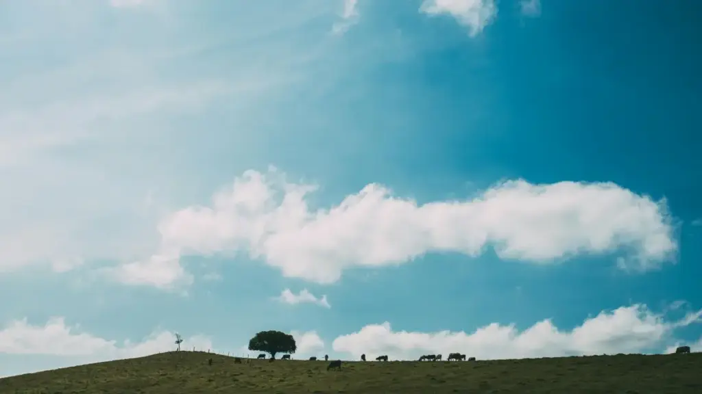 Nkɔmmɔ a ɛkyerɛ Ghana creators sɛnea wobetumi akɔ VKontakte akɔfa Lithuania brands de akyerɛw long-form reviews — practical steps, outreach templates, legal adwene ne VPN tip.