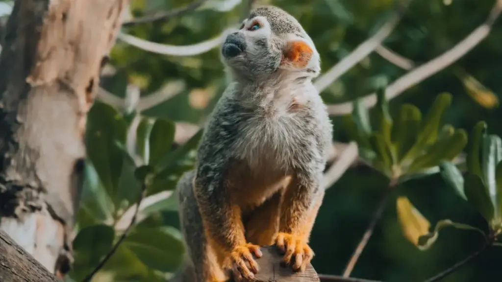 Mpanyinfoɔ a wopɛ sɛ woka Portugal brands a wɔwɔ eBay ho na woakora behind‑the‑scenes videos — yɛde yɛn Ghana street‑smart tactics, outreach templates, ne legal/tech checks bɛma wo.