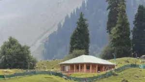 Krɔkrɔmma ma Ghana creators a wɔpɛ sɛ wɔkɔ Egypt brands wɔ Netflix so, fa strategies, local contacts, PR tactics ne safe streaming tips.