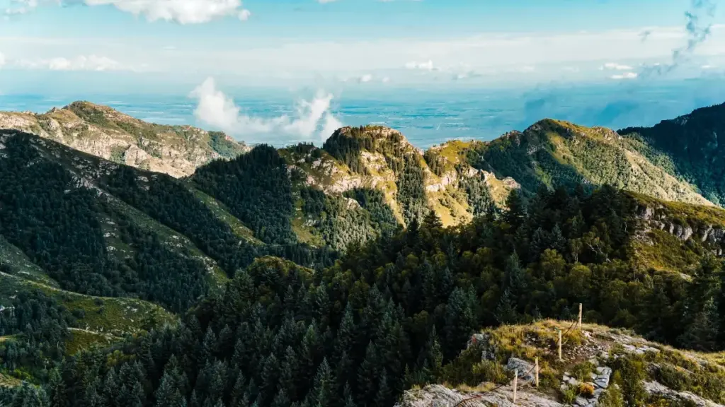 Ɛkyerɛkyerɛ mma Ghana advertisers sɛnea wobɛhwehwɛ Argentina Hulu creators de adwuma ayɛ ne top creators afa product lines ho.