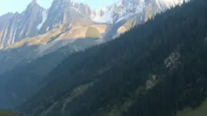 Nhyehyɛ a ɛkyerɛ Ghana advertisers sɛnea wɔbɛhwehwɛ Poland Moj creators, yɛ targeting, outreach, ne measurement a ɛma product visibility kɔ soro.