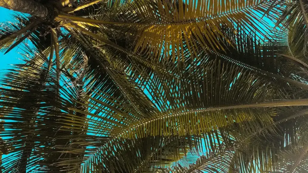 Kyerɛkyerɛ praktikal ma Ghana creators a wɔpɛ sɛ wɔka Finland brands a wɔwɔ eBay ho — ɔkwan a wobɛfa, messaging templates, logistics, na compliance. Date: 2026-02-05.