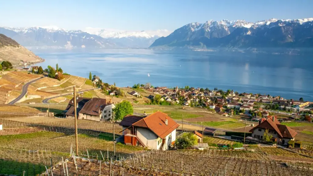 Ɛkwan a Ghana advertisers betumi afa ahunu Switzerland Chingari creators de yɛ socially responsible campaigns — praktikal tips, tools, ne risks.