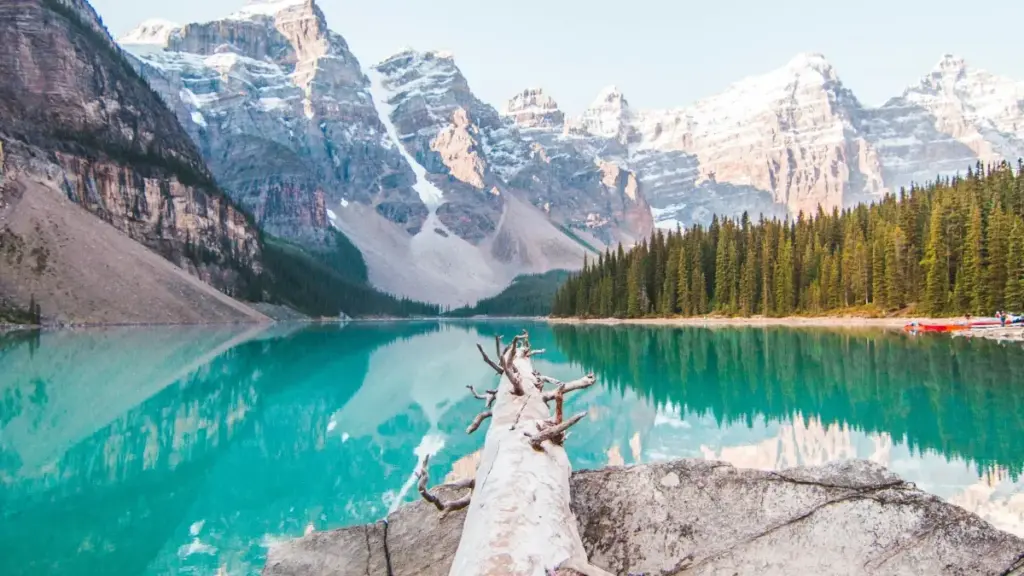 Nkyerɛkyerɛ praktikal a ɛma Ghana advertisers hu Iran ShareChat creators, tie audience behaviour, na transform engaged fans kɔ leads — wᴐ 2026 context.