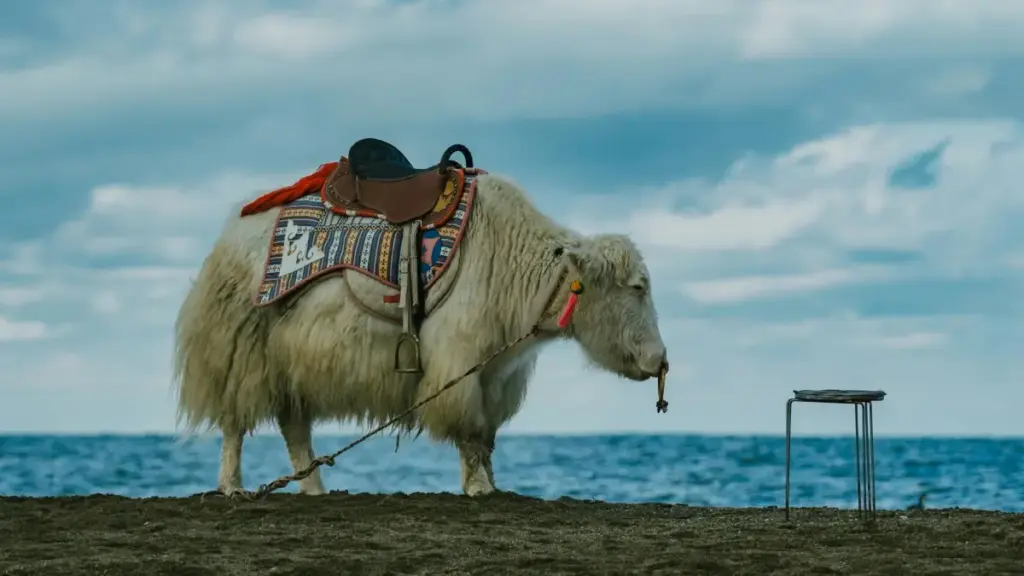 Hwɛ kwan a Ghana creators tumi fa so kɔhyɛ Bosnia ne Herzegovina brands wɔ Twitch ho, fa sample nya — praktikal tips, outreach templates, na MaTitie VPN tip.