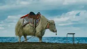 Hwɛ kwan a Ghana creators tumi fa so kɔhyɛ Bosnia ne Herzegovina brands wɔ Twitch ho, fa sample nya — praktikal tips, outreach templates, na MaTitie VPN tip.