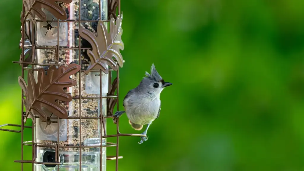 Practical Ghana guide—nkɔmmɔ a ɛkyerɛ sɛnea wobɛka LinkedIn Brazil brands ho na woayɛ unboxing deals, outreach scripts, negotiation tips, ne sample inbox messages.