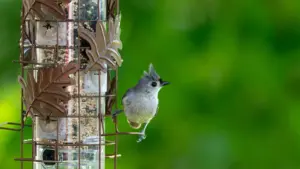 Practical Ghana guide—nkɔmmɔ a ɛkyerɛ sɛnea wobɛka LinkedIn Brazil brands ho na woayɛ unboxing deals, outreach scripts, negotiation tips, ne sample inbox messages.