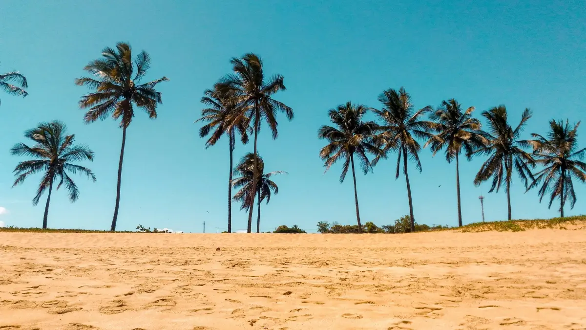 Ghana creators: Hyɛ Chile brands Instagram mu — kollabo tips