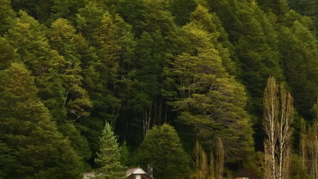 Kyerɛkyerɛ yɛn kwan a Ghana creators betumi afa so akɔfa Kazakhstan brand ne tourism boards afa Disney Plus mu—practical steps, outreach templates, ne partnership hacks.