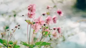 Sɛ wobɛhunu Estonia creators a wɔn content yɛ Disney Plus vibe no, ha ara na wobɛnya smart sourcing, risk check, na campaign plan a ɛbɔ skincare brand ho ban.