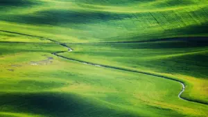 Hwɛ sɛnea wobɛhwe creators a wɔn content yɛ product-led growth adwuma, de data, brand fit, ne conversion ho nhwehwɛmu adi dwuma yie.