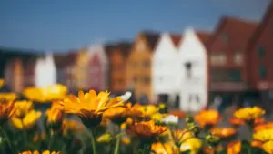 Sɛ wopɛ sɛ wosɔ Myanmar market hwɛ a, eyi kyekyɛ sɛnea wobɛhwehwɛ Snapchat creators, de data ne creator signals ayɛ smart test.