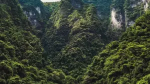 Hwɛ sɛ wobɛnya Panama Rumble creator a wɔn content betumi ama engagement akɔ soro, na fa smart search, data, ne local insight di dwuma.