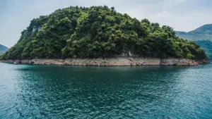 Sɛ wobɛdɔ Turkey brand no wɔ ShareChat so a, local fit no na ɛyɛ adwuma. Hwɛ sɛnea wobɛfa content, creator, ne timing so akɔ target market no mu pa ara.