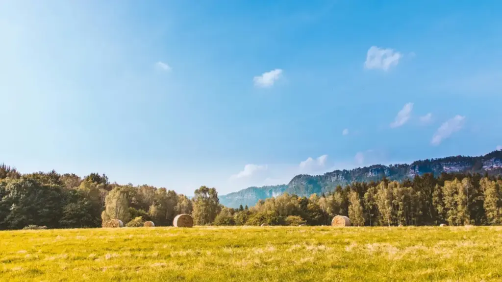 Sɛ wopɛ Sri Lanka Vkontakte creators a wɔbɛyɛ reviews a ɛte sɛ nokware, ha yi na ɛkyerɛ search, vetting, ne campaign planning a ɛnyɛ fake.